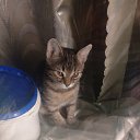 ���� ������, �������, 66 ��� - ��������� 13 ������ 2025 � ������ ������ ��������