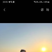 �����, 43 ����, ��������