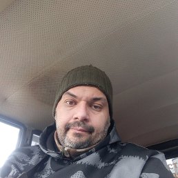 ����, 41 ���, �����