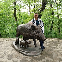 ���������, �����