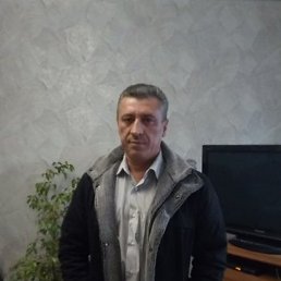 , 52, 