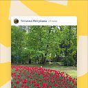 ���� ����������, ��������� - ��������� 25 ��� 2024 � ������ ���� ����������