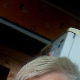 ���� ����, �������, 44 ���� - ��������� 21 ������ 2023