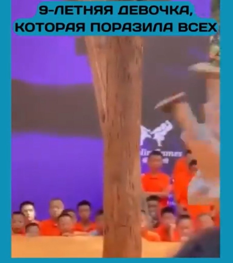 Может ли девятилетняя девочка переплюнуть взрослых мастеров и стать королевой шаолиньского кунг-фу? ... - 2
