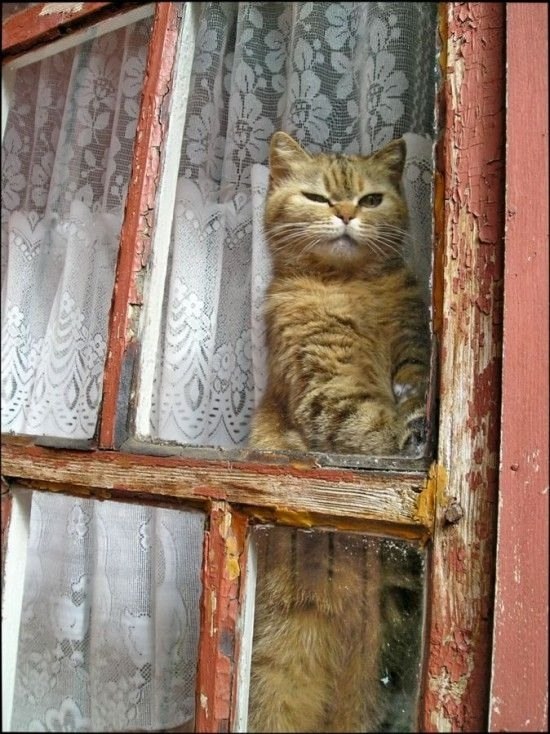 Где-то там запорошенный снегом знакомый забор, Деревянные ставни и дыма печного кудряшки… Где-то там ... - 7