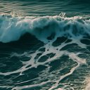 ���� ������, ������, 54 ���� - ��������� 13 ����� 2024 � ������ ���� ����������