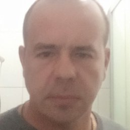 ������, ������, 41 ���