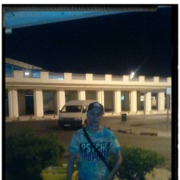 �����, 41 ���, ����