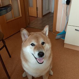 ���� ����, �����������, 47 ��� - ��������� 3 ������� 2025