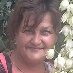 ���, �������, 58 ���