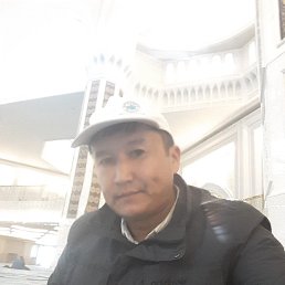 , 41, 