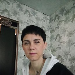 , 41 , 
