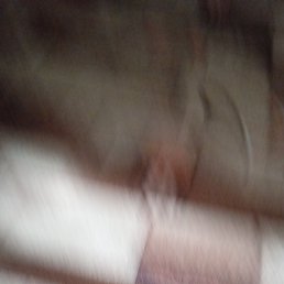 ���� ���������, ������, 34 ���� - ��������� 18 ������� 2023