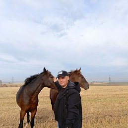 ���������, ��������, 53 ����