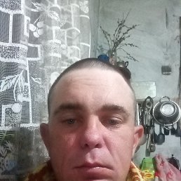 , 29, 