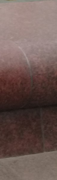 �������, ����, 48 ���