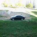 ���� ����, �����������, 71 ��� - ��������� 6 ������� 2026