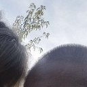 ���� �������., ������, 41 ��� - ��������� 28 �������� 2024 � ������ ���� ����������