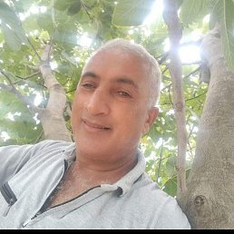 , 57, 