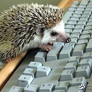 ����, 58 ���, ������������