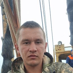 , 24, 