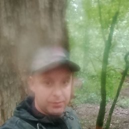 , 38, 