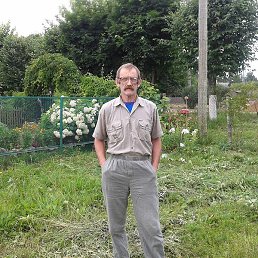 ���������, �����-���������