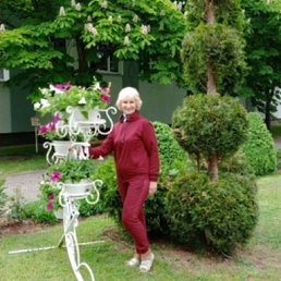 , 65, 