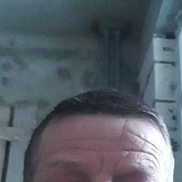 ���� �������, ������, 56 ��� - ��������� 22 ����� 2024