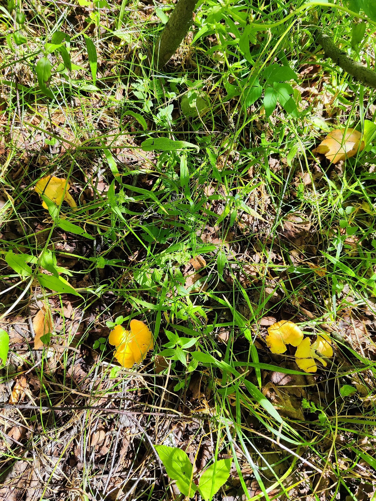   - 3  2025  14:49 - 5