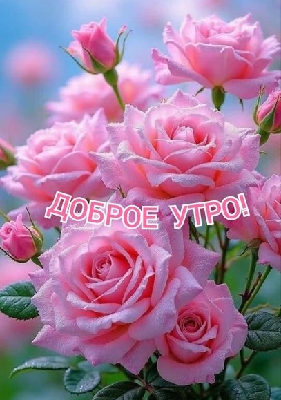   ,    . - 5  2025  21:38