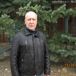 , 61, 