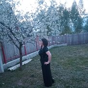 , 44 ,  