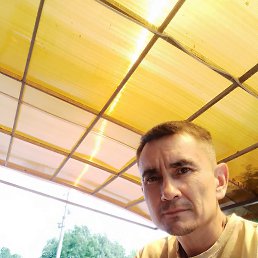 , 41 , 
