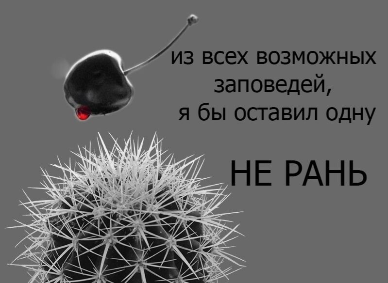   - 7  2023  11:41