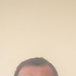 , 49, 