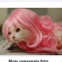 ���� Joana, ���, 55 ��� - ��������� 24 ������ 2026 � ������ ���� ����������