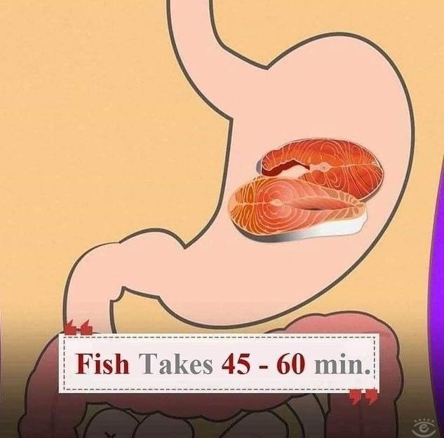 �� ����� o� ���� ������? - 9