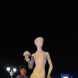 , 61, 