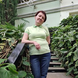 , 52, 