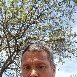 , 40, 