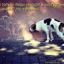 ���� ����, ����������, 58 ��� - ��������� 1 ���� 2025 � ������ ���� ����������