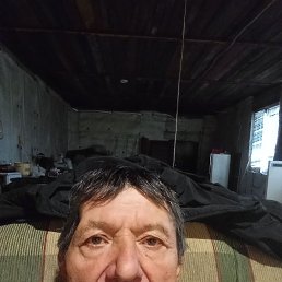 , 61, 