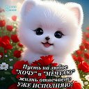 ���� �.�,, ������-��-���� - ��������� 3 ������� 2025 � ������ ������ ��������