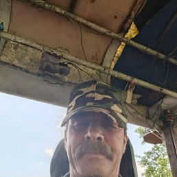 , 55, 