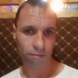 ������, ���������, 37 ���