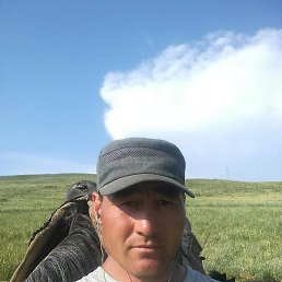 ������, �����, 40 ���