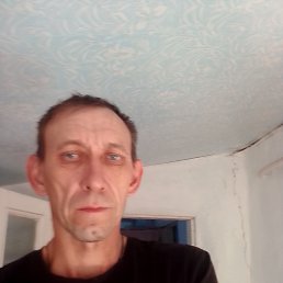, 41, 