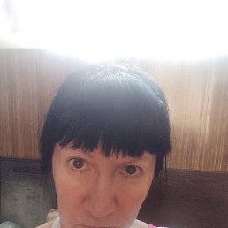, , 53 