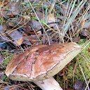 ���� ����, �������, 31 ��� - ��������� 29 ������� 2023 � ������ ���� ����������